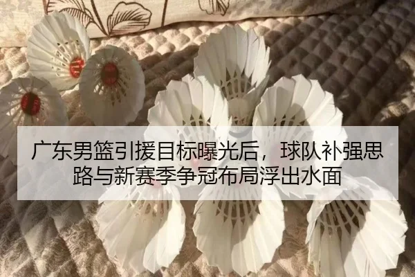 img_1781935165156_33_0_608.jpg | maiqiuwang